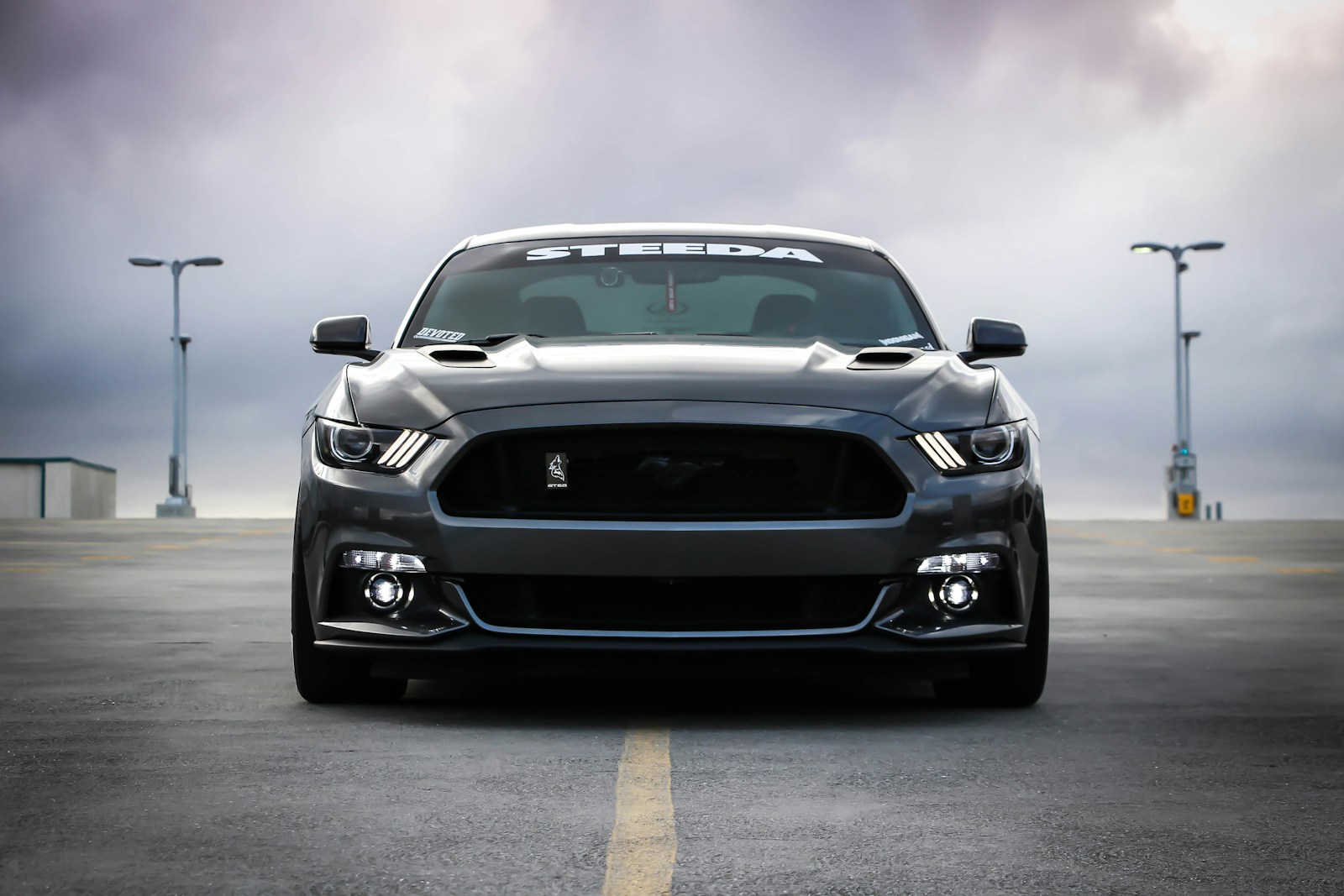 black Shelby car with auto insurance policy on road