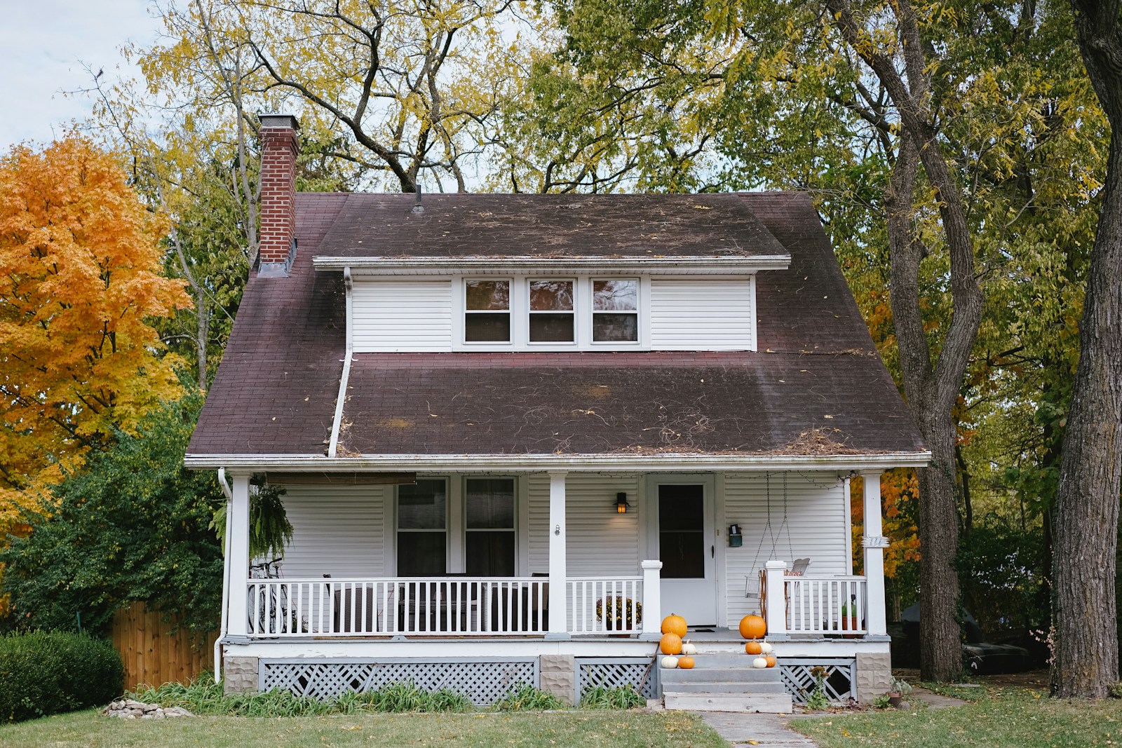 trees beside white house with homeowners insurance questions